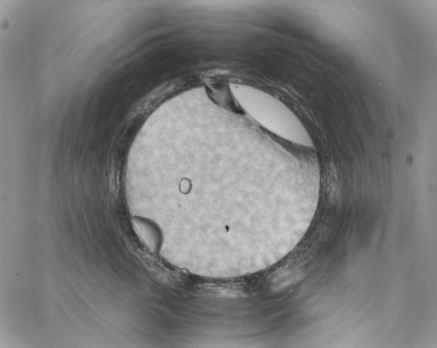 X0000064040763200602242320