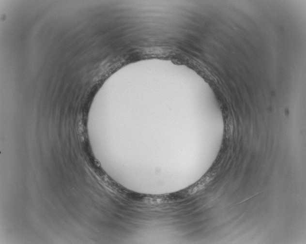 X0000064040764200602242320