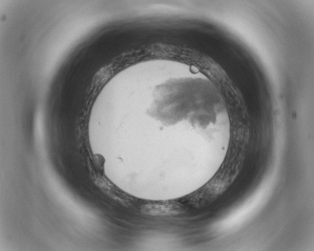 X0000064040765200602242320