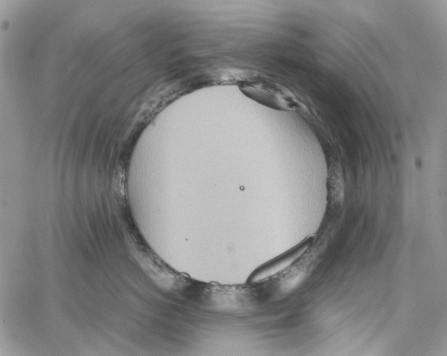 X0000064040766200602242320