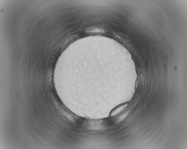 X0000064040767200602242320