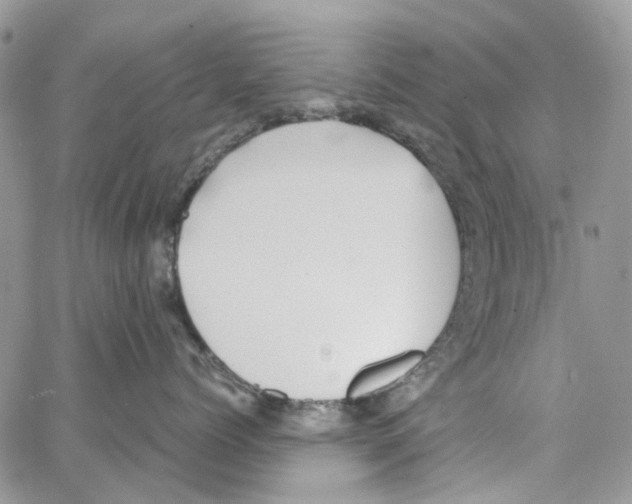 X0000064040768200602242320