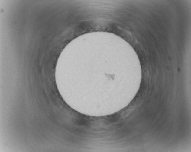 X0000064040769200602242320