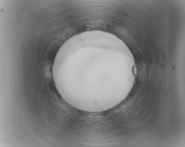 X0000064040770200602242319