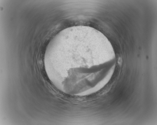 X0000064040771200602242319