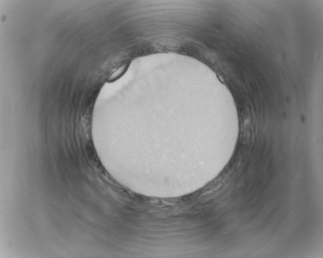 X0000064040772200602242319