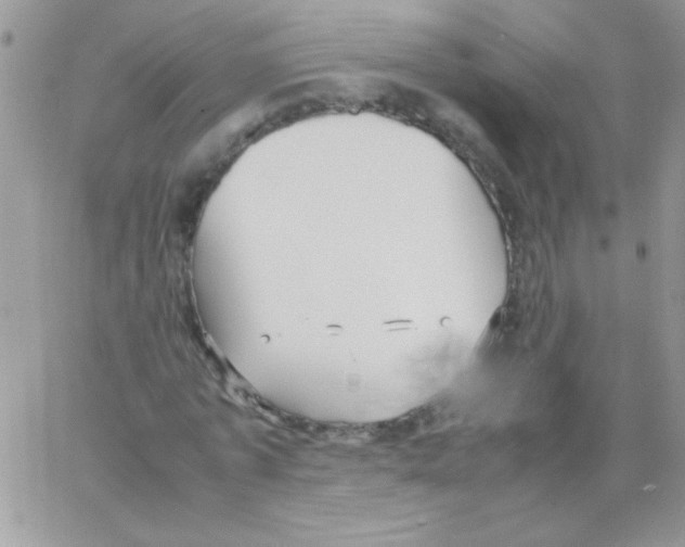 X0000064040773200602242319