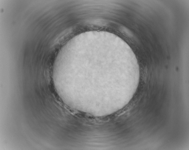 X0000064040774200602242319