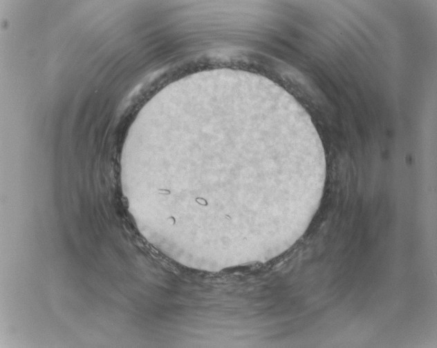 X0000064040776200602242319