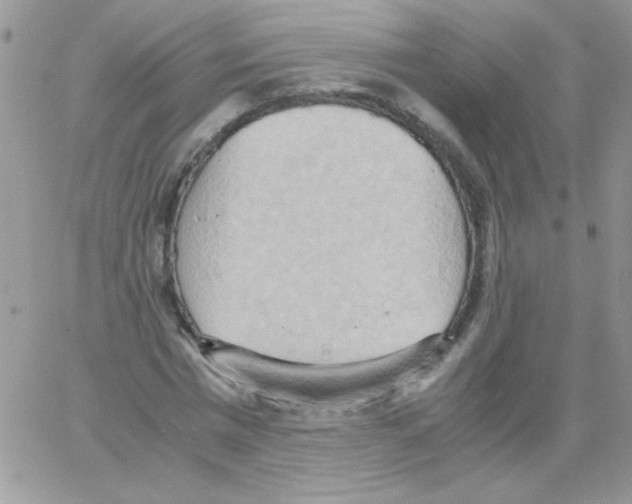 X0000064040777200602242319