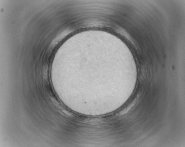 X0000064040778200602242319