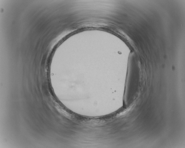 X0000064040779200602242319