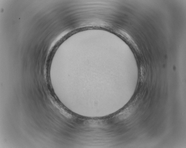 X0000064040780200602242319