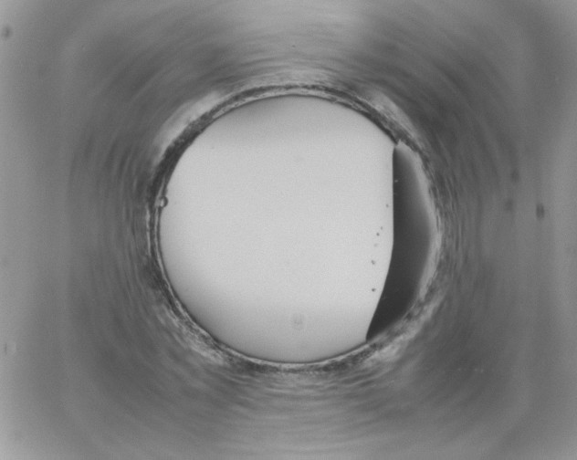 X0000064040781200602242319