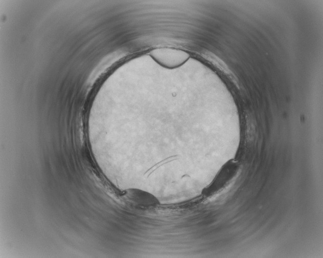 X0000064040782200602242319