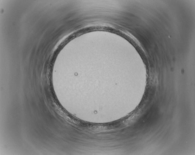 X0000064040783200602242319