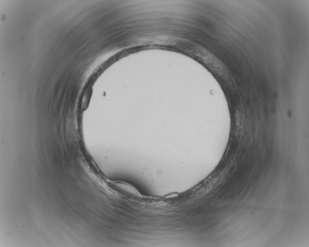 X0000064040784200602242319