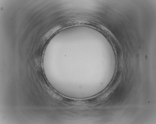 X0000064040785200602242319