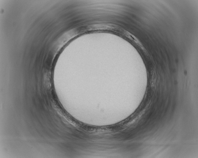 X0000064040786200602242319