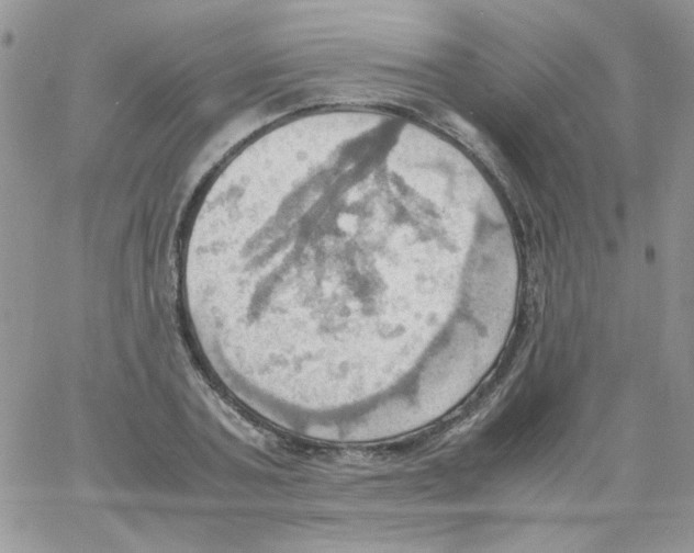 X0000064040787200602242319