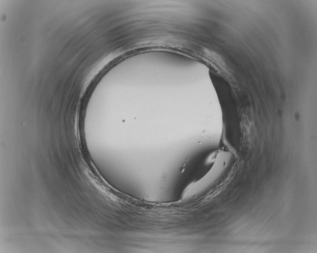 X0000064040788200602242319