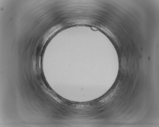 X0000064040790200602242319