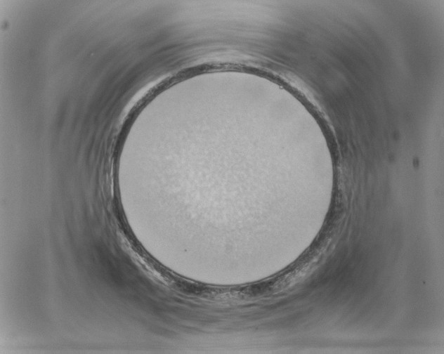 X0000064040791200602242319