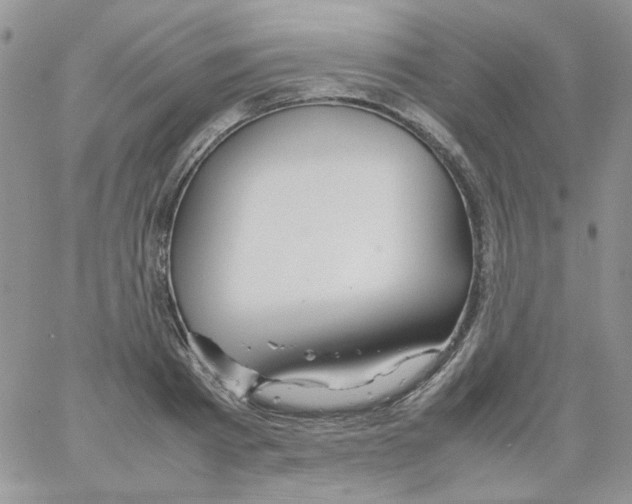 X0000064040793200602242319