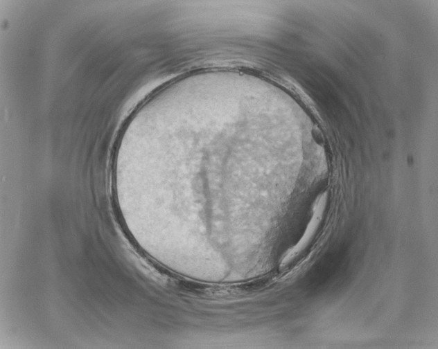 X0000064040795200602242319