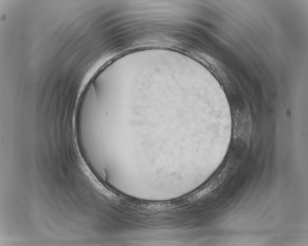 X0000064040796200602242319