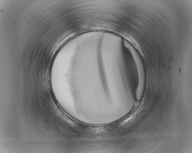 X0000064040798200602242319