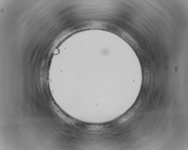 X0000064040800200602242319