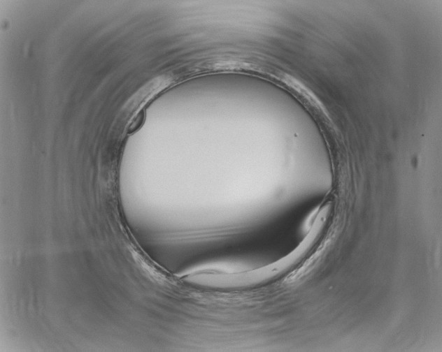 X0000064040801200602242319