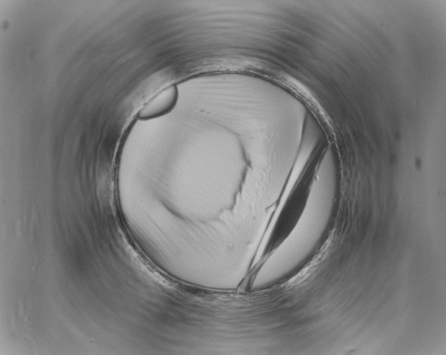 X0000064040802200602242319