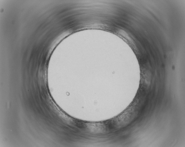 X0000064040804200602242319