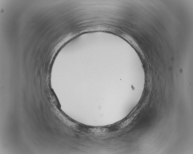 X0000064040805200602242319