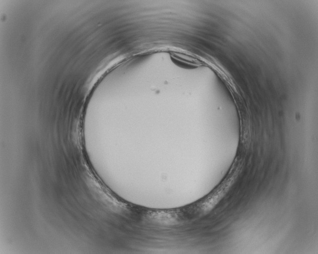 X0000064040806200602242319