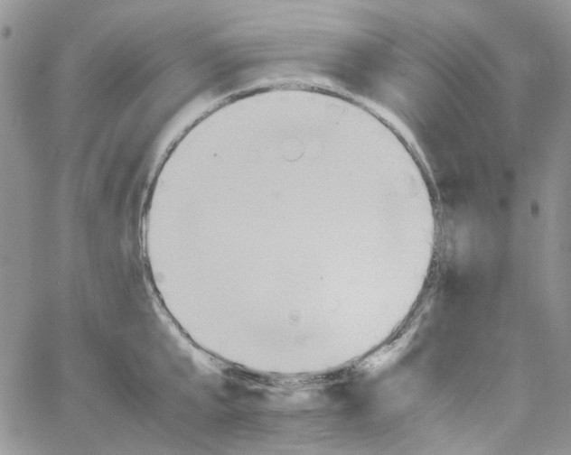 X0000064040807200602242319