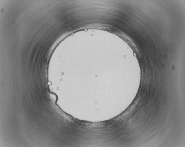 X0000064040808200602242319