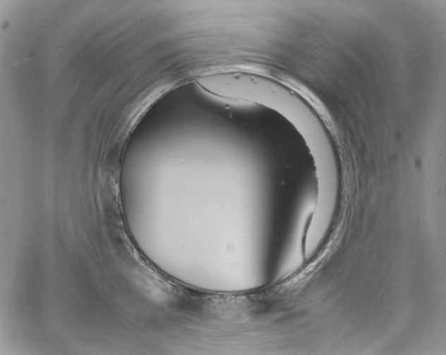 X0000064040809200602242319