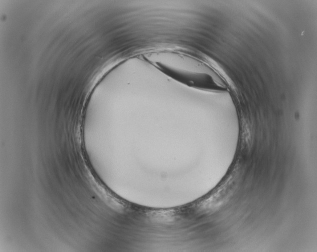 X0000064040810200602242319