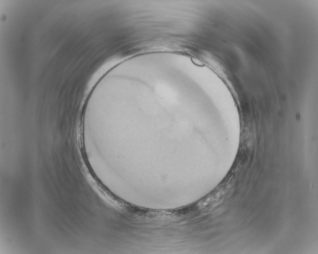 X0000064040811200602242319