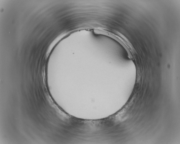 X0000064040812200602242319