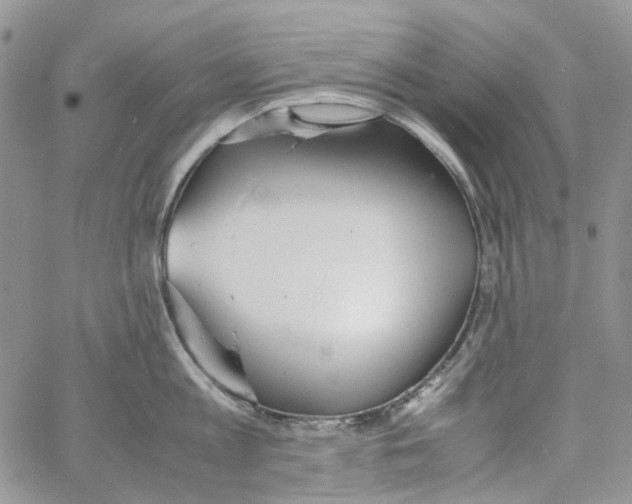 X0000064040813200602242319