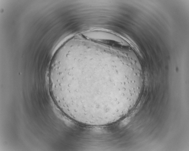 X0000064040814200602242319