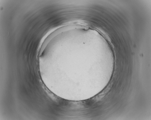 X0000064040816200602242319