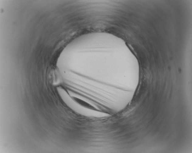 X0000064040818200602242318