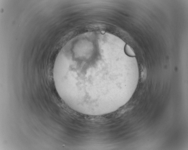 X0000064040819200602242318