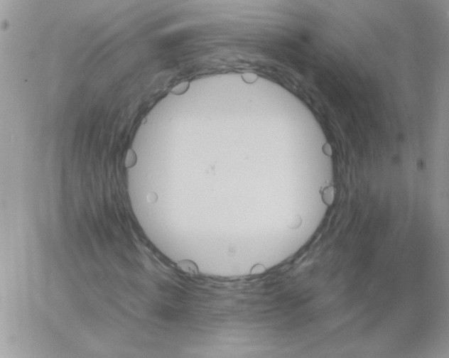 X0000064040820200602242318