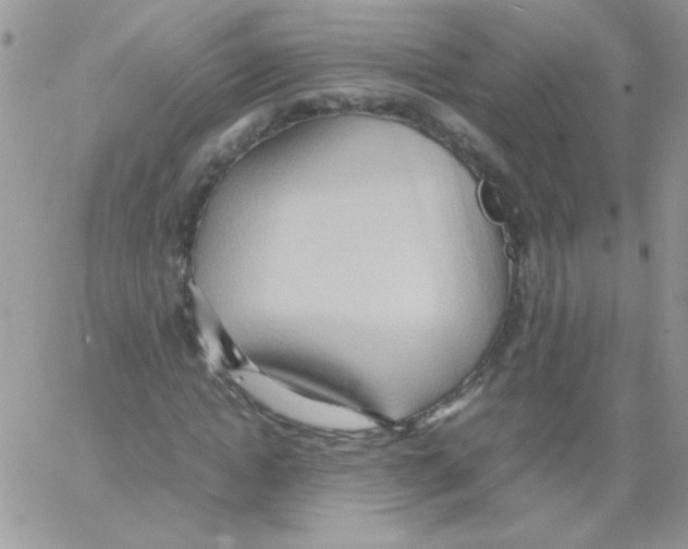 X0000064040822200602242318